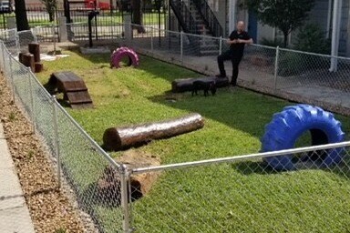 Doggie Park