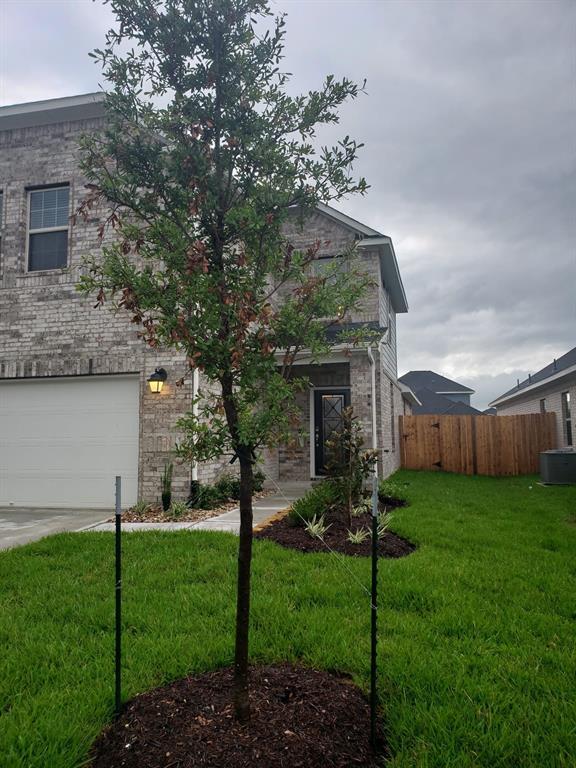 Photo - 31314 Spotted Saddle Holw