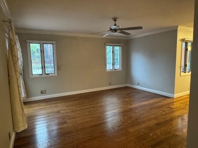 Photo - 167 Springdale Way