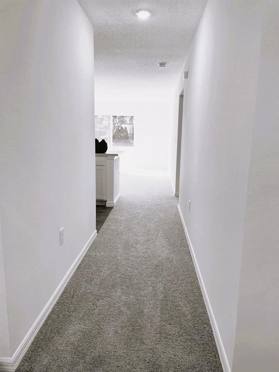 Photo - 42 Sederholm Path