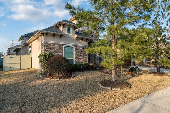 Photo - 10410 Southern Hawker