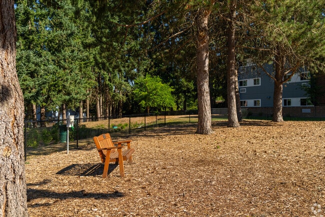 Dog Park