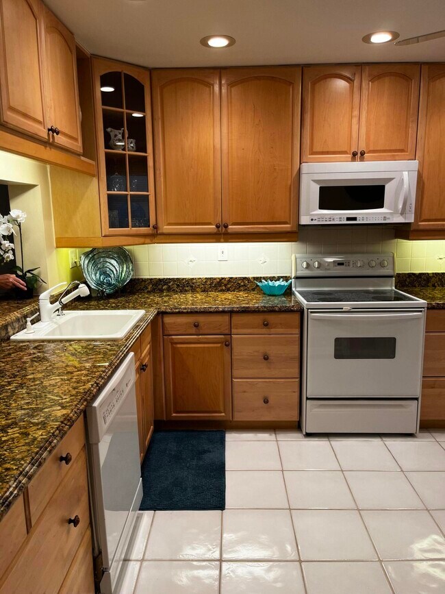 12870 Briarlake Dr Unidad 205