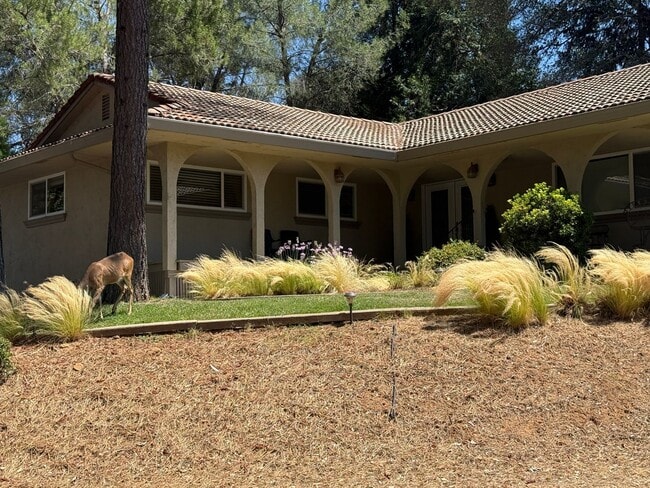 Photo - 23799 Woodhaven Pl