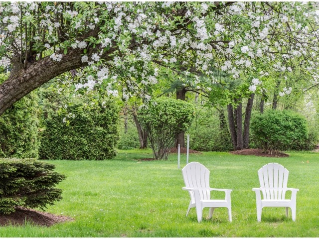 Outdoor Seating Area