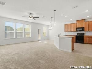 Photo - 205 Lone Falls Dr