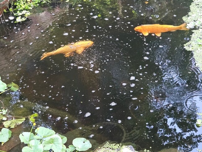 Photo - 120 W 10th St