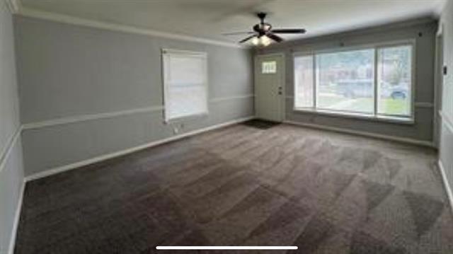 Photo - 205 Merritt St
