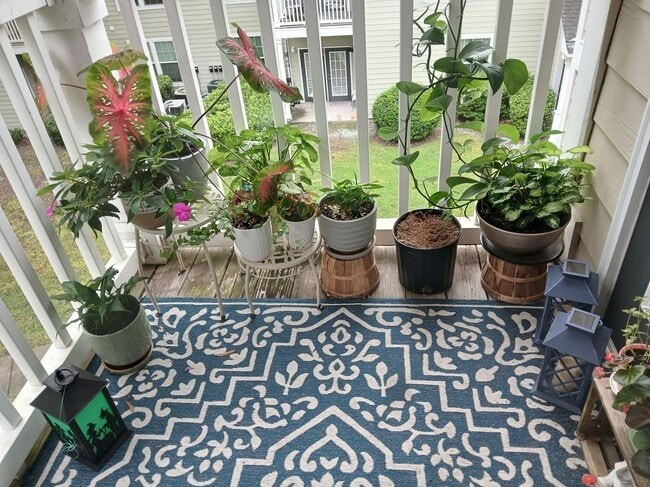 Deck overlooking lagoon and trails - 100 Kensington Blvd Unit 824