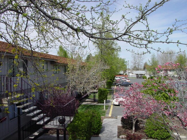 Corte Avalon - Avalon Court Apartments