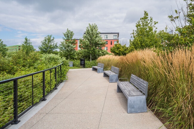 Photo - 303 Market St