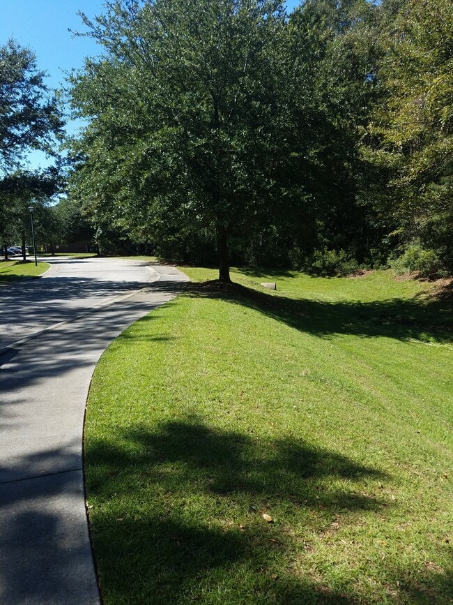 Photo - Shady Grove Apartments - Senior Living