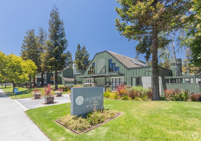 Evergreen Heights