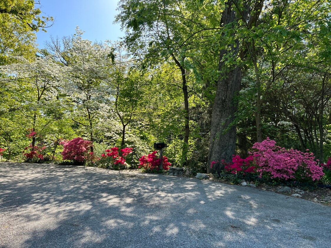 Photo - 2948 Albemarle St NW (Washington, DC)