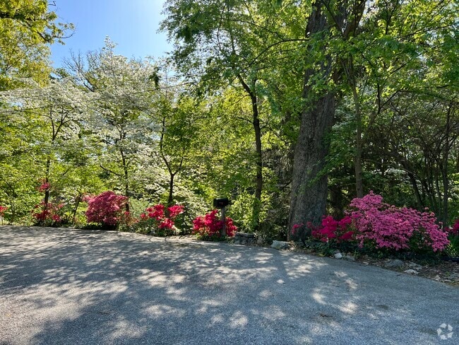 Building Photo - 2948 Albemarle St NW Rental