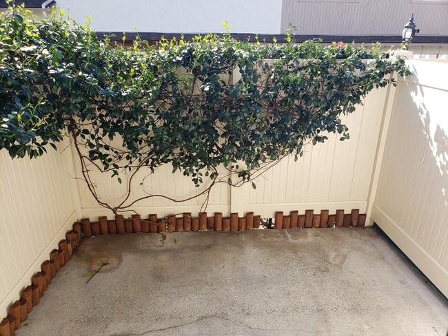 Patio with Vinyl Fencing