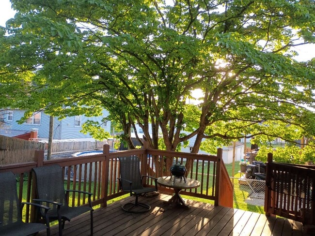 Photo - 546 Larkspur St