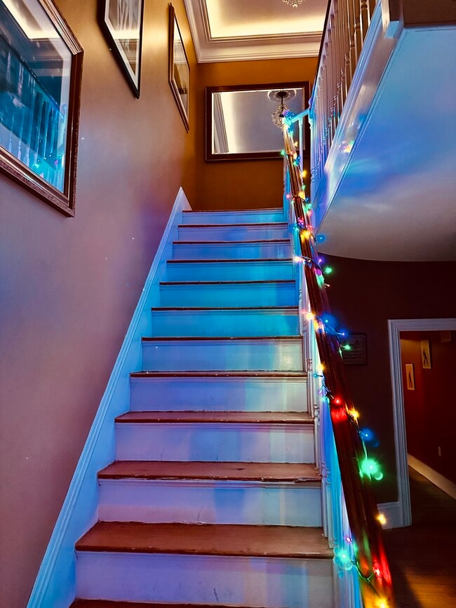 Photo - 231 Front St