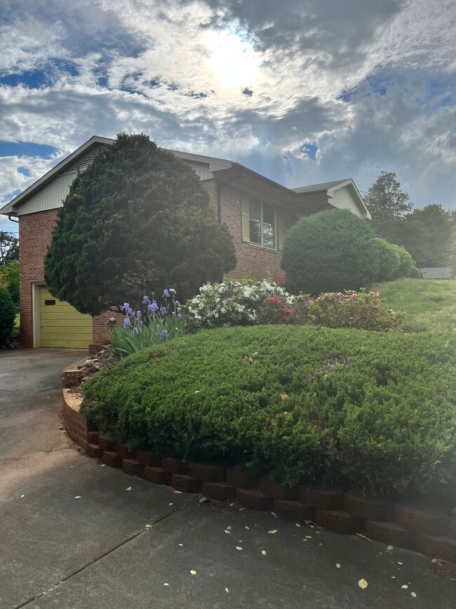 Beautiful garden - 1600 New Eastwood Cir