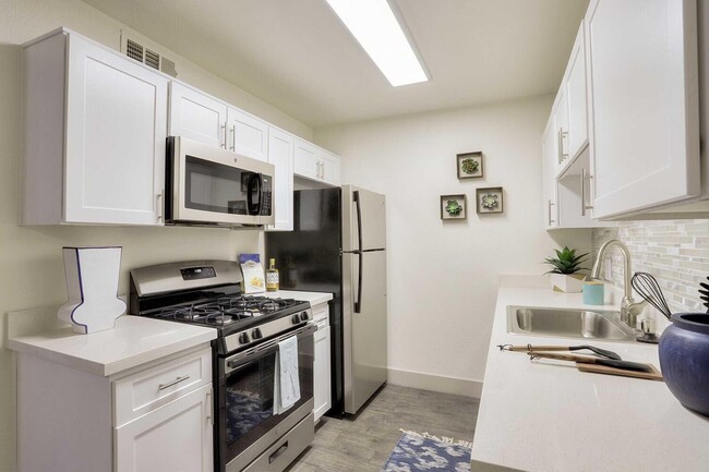 The Pearl at St Rose - The Pearl at St Rose Apartments