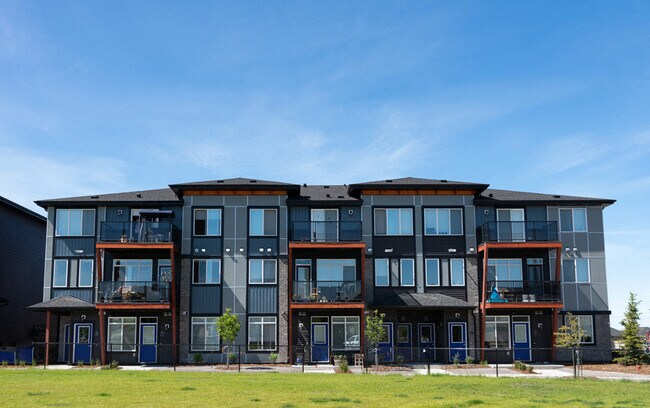 Photo - Essential Aurora