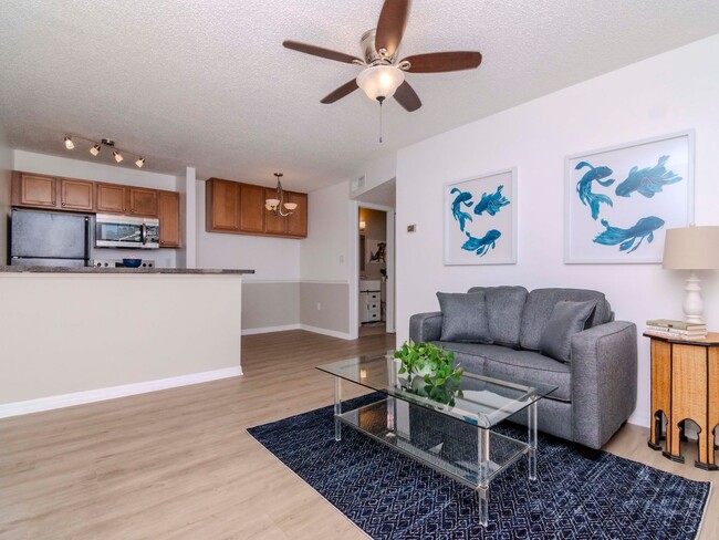 1/1 Condo in Heart of Brandon & Brandon Re... - 1/1 Condo in Heart of Brandon & Brandon Re...