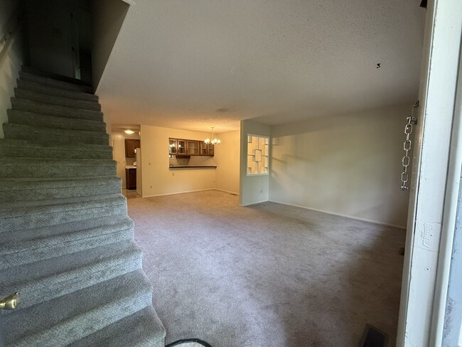 Photo - 265 Sycamore Rd