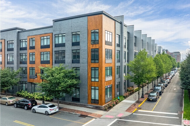 Photo - 330 Angelo Cifelli