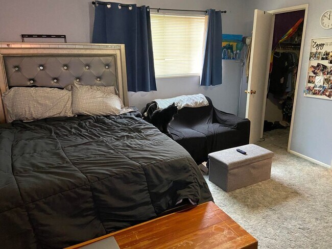 Photo - 1055 Milky Way