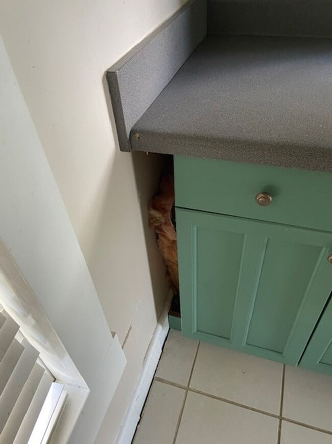 Photo - Beautiful 3brm, 2bath Home in Heart of Bur...