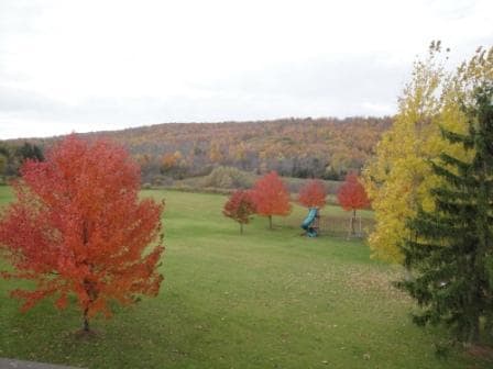 Photo - 5099 Rathbun Rd Unidad Studio Apartment-960 sf