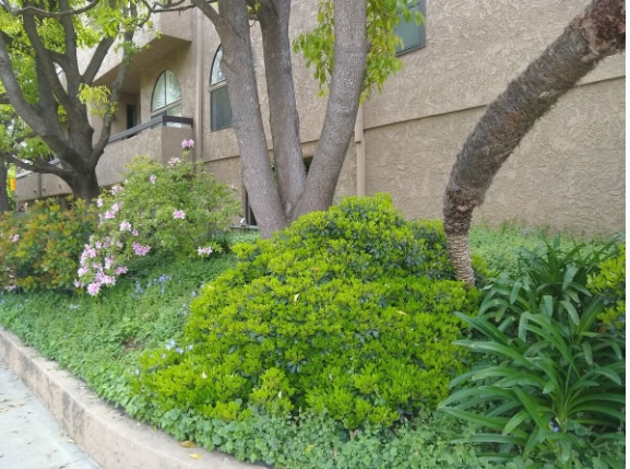 building gardens - 14572 Dickens St Unit 201