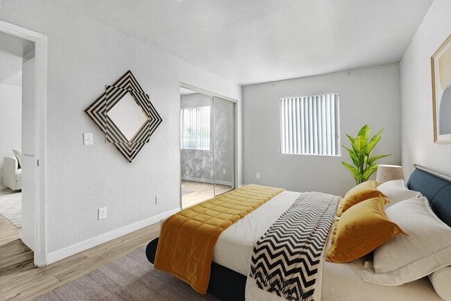 Photo - Valerio Palms