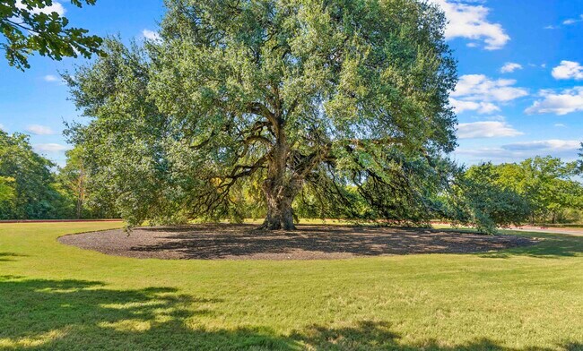 MAA Ashton Oaks