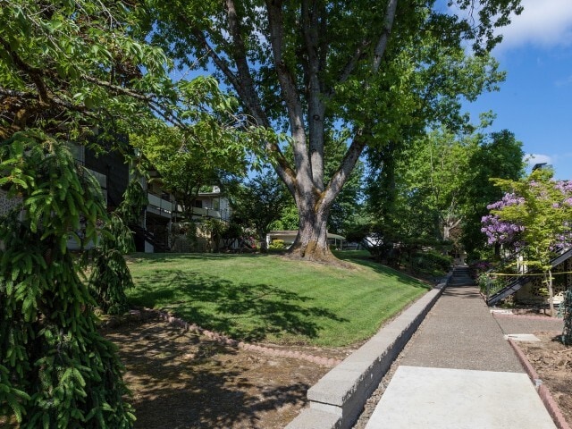 Photo - Sharrita Villa