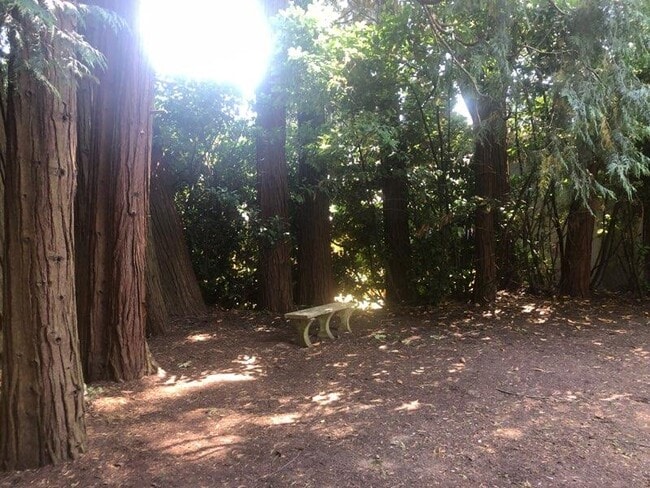 Photo - 8528 SW 35th Ave