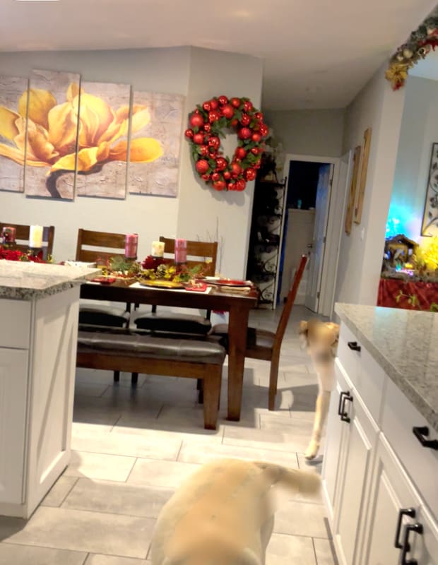 Photo - 393 W 4th Ave