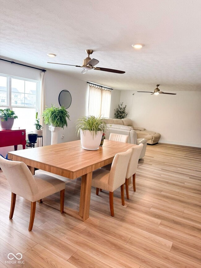 Photo - 439 Cape May Dr