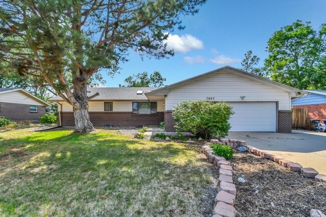 Building Photo - Beautiful, Bright & Move-In Ready Ranch in Desirable West Arvada