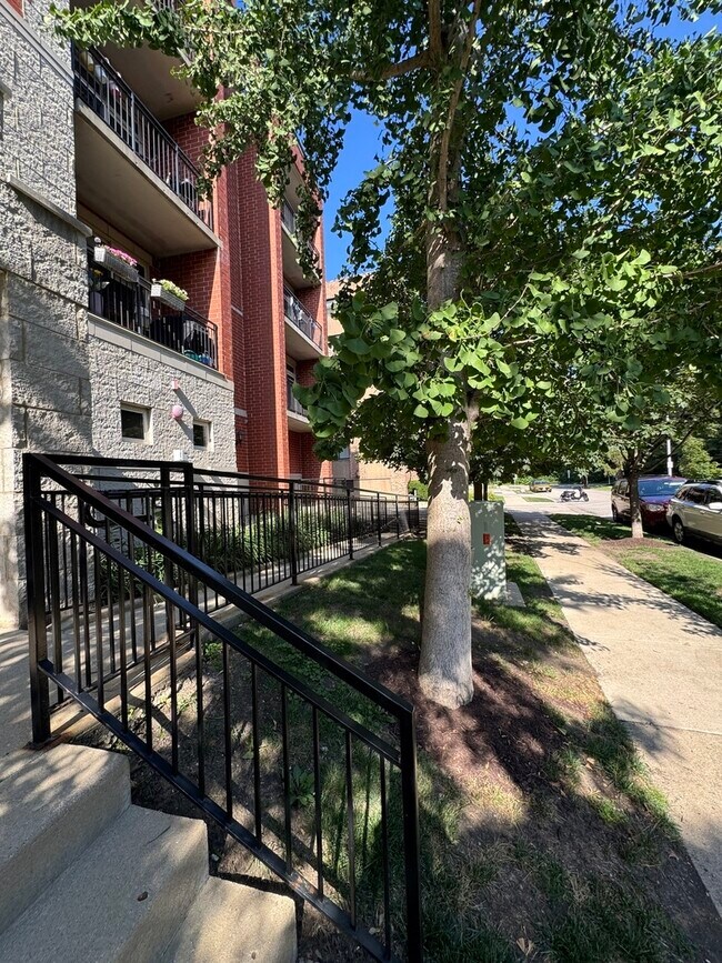 1670 Mill St Unit 303