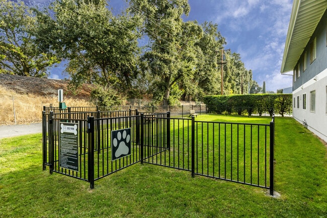 Grass Area