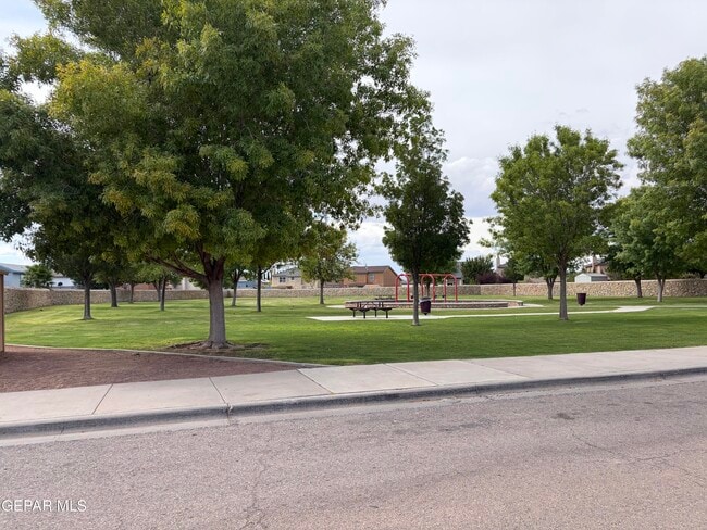 11728 Mesquite Bush Dr