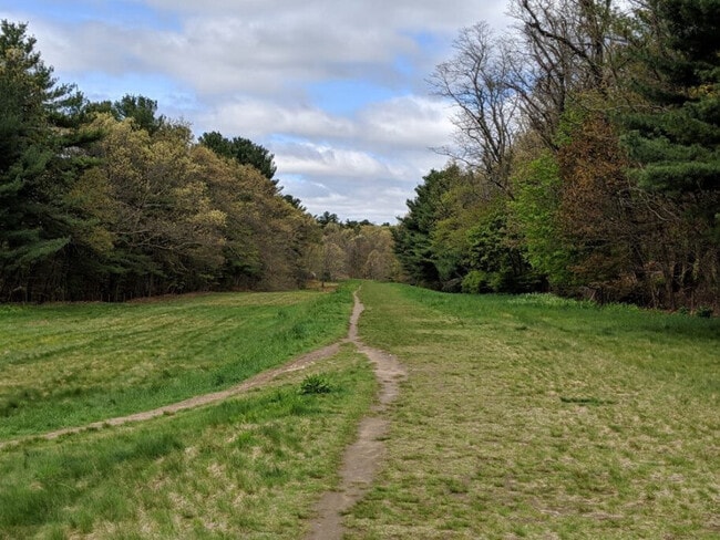 Photo - 253 Main St Unit ID1271274P