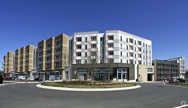 Building Photo - The Daley at Shady Grove Metro Rental