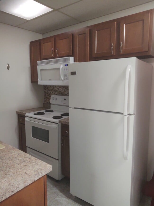 Kitchen - 604 S Shabbona St Unit 4