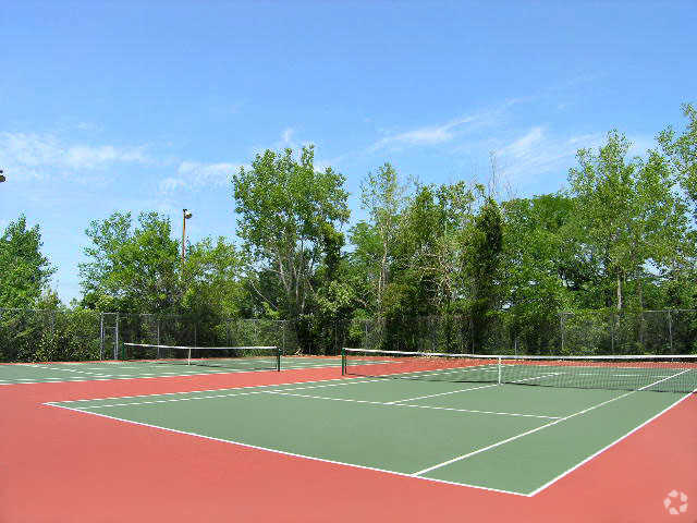 Recreation Area