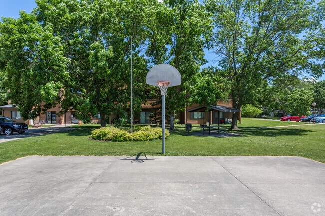 Cancha de básquetbol