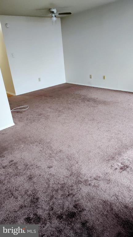 Photo - 6100 Westchester Park Dr Unidad TR81 (1708)