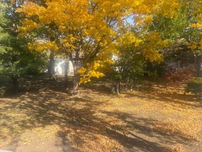 Photo - Split Level 4 Bedroom