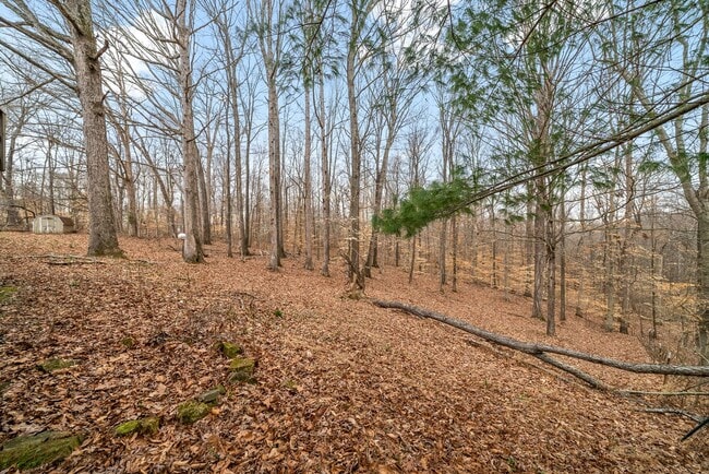 Photo - Lovely home on beautiful, wooded corner - Just Reduced